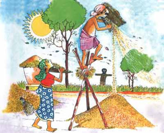 Cooperative Winnowers